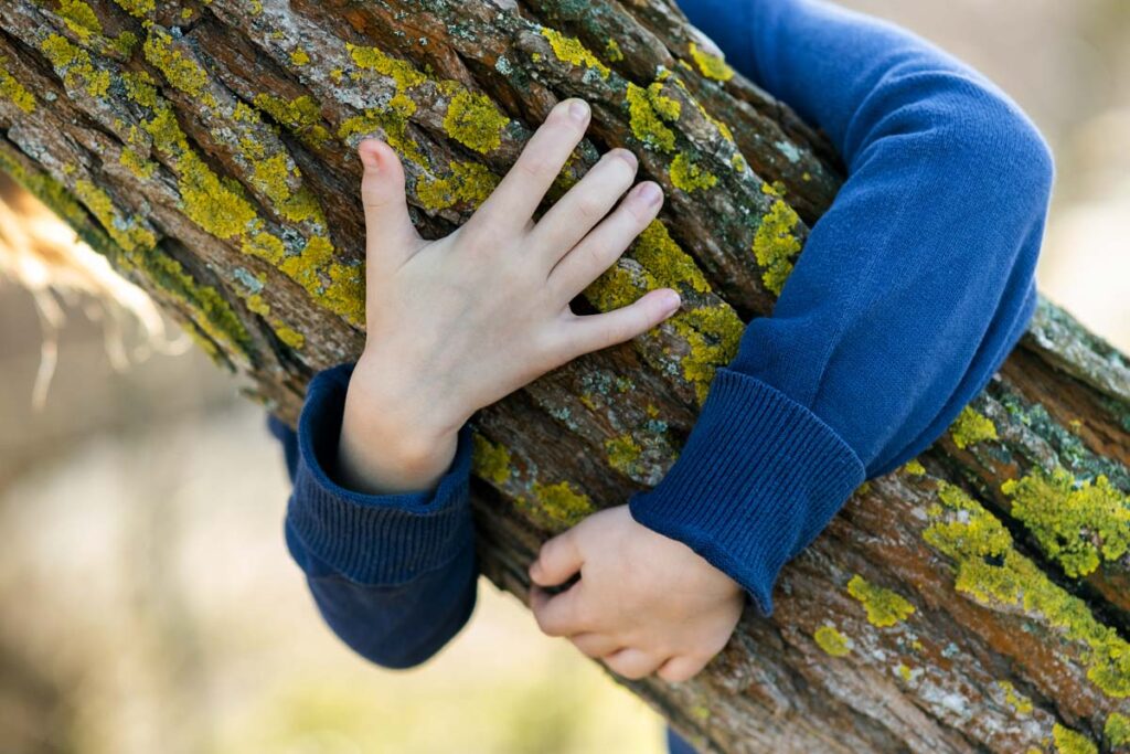 Lesne warsztaty - przytulanie drzew